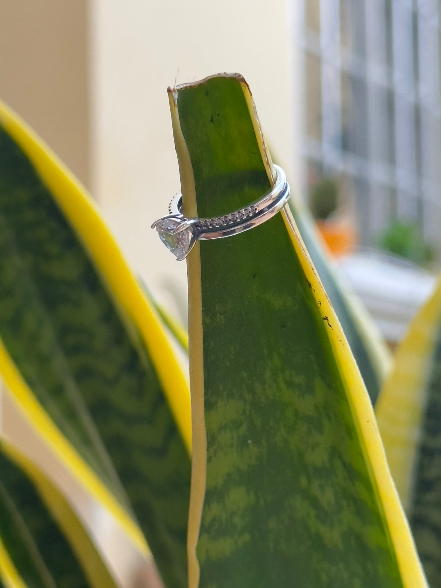 Anillo Corazón Doble Banda Silver
