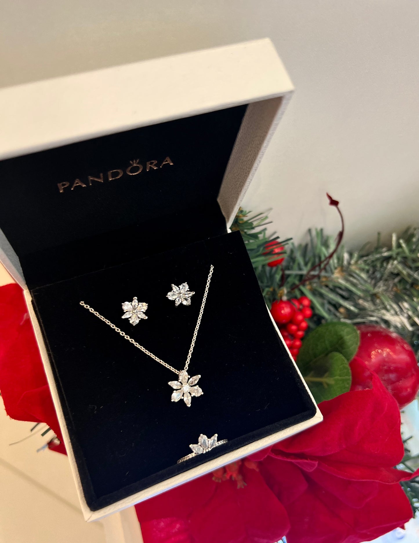Set Herbario Brillante Silver