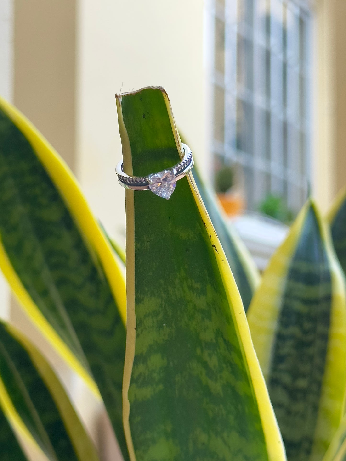 Anillo Corazón Doble Banda Silver