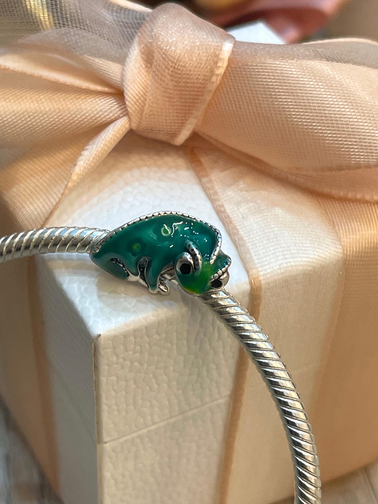 Charm Camaleón de Pascal