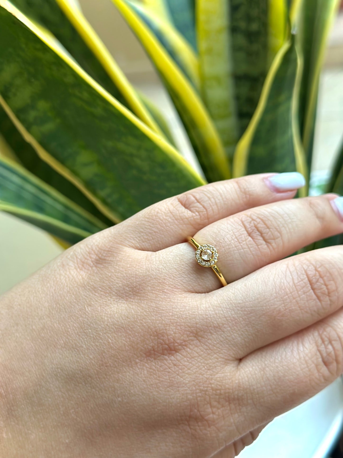 Anillo Halo Redondo en Pave - Gold