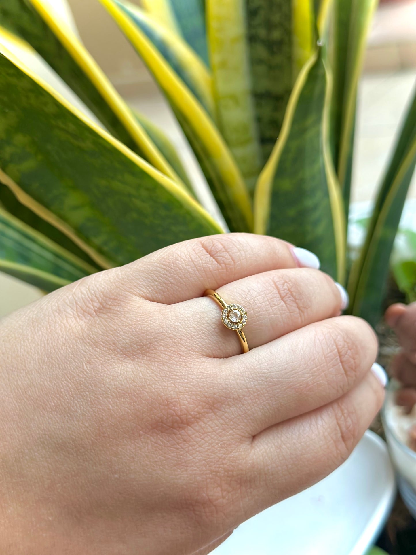 Anillo Halo Redondo en Pave - Gold