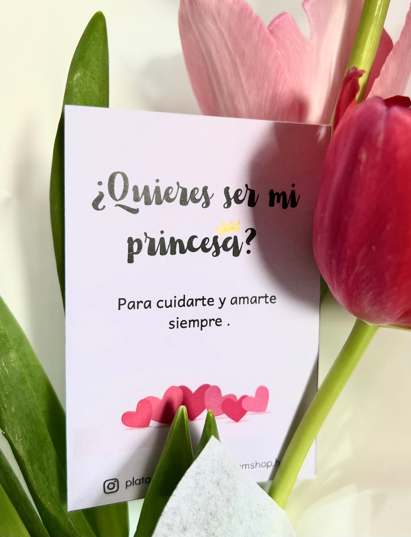 Mi Princesa - Dedicatoria