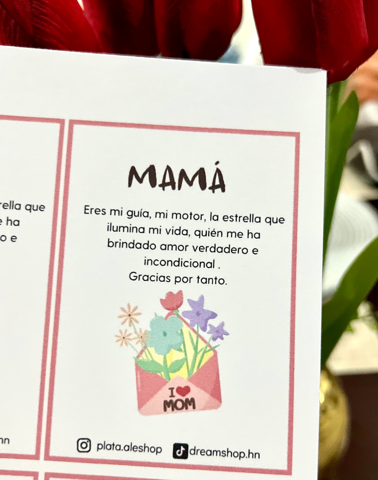 Gracias por Tanto - Dedicatoria