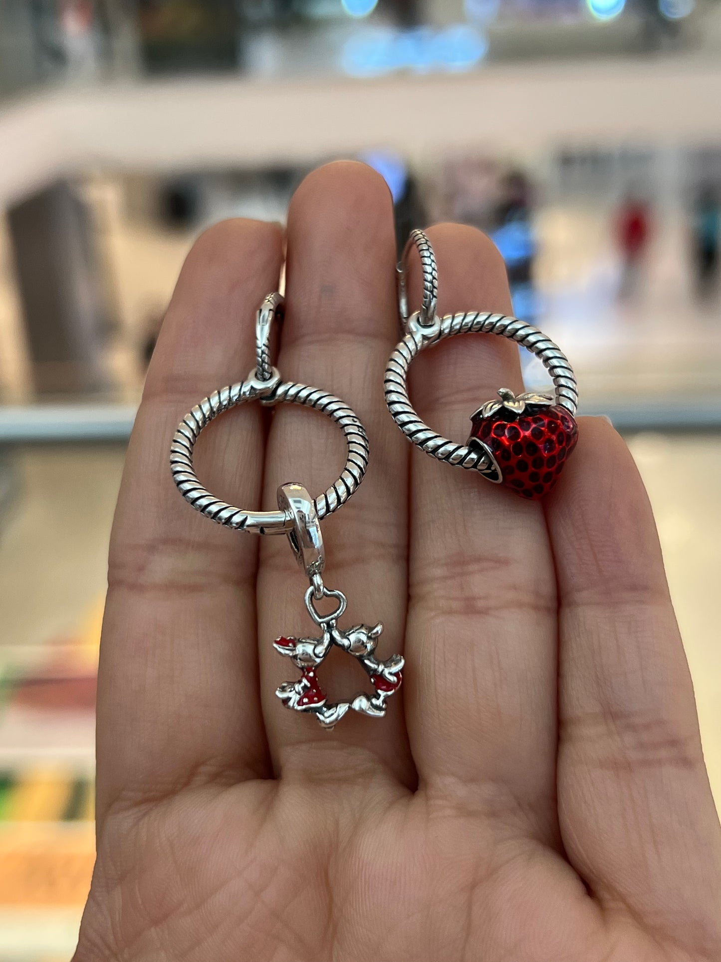 Precio no incluye charm.
