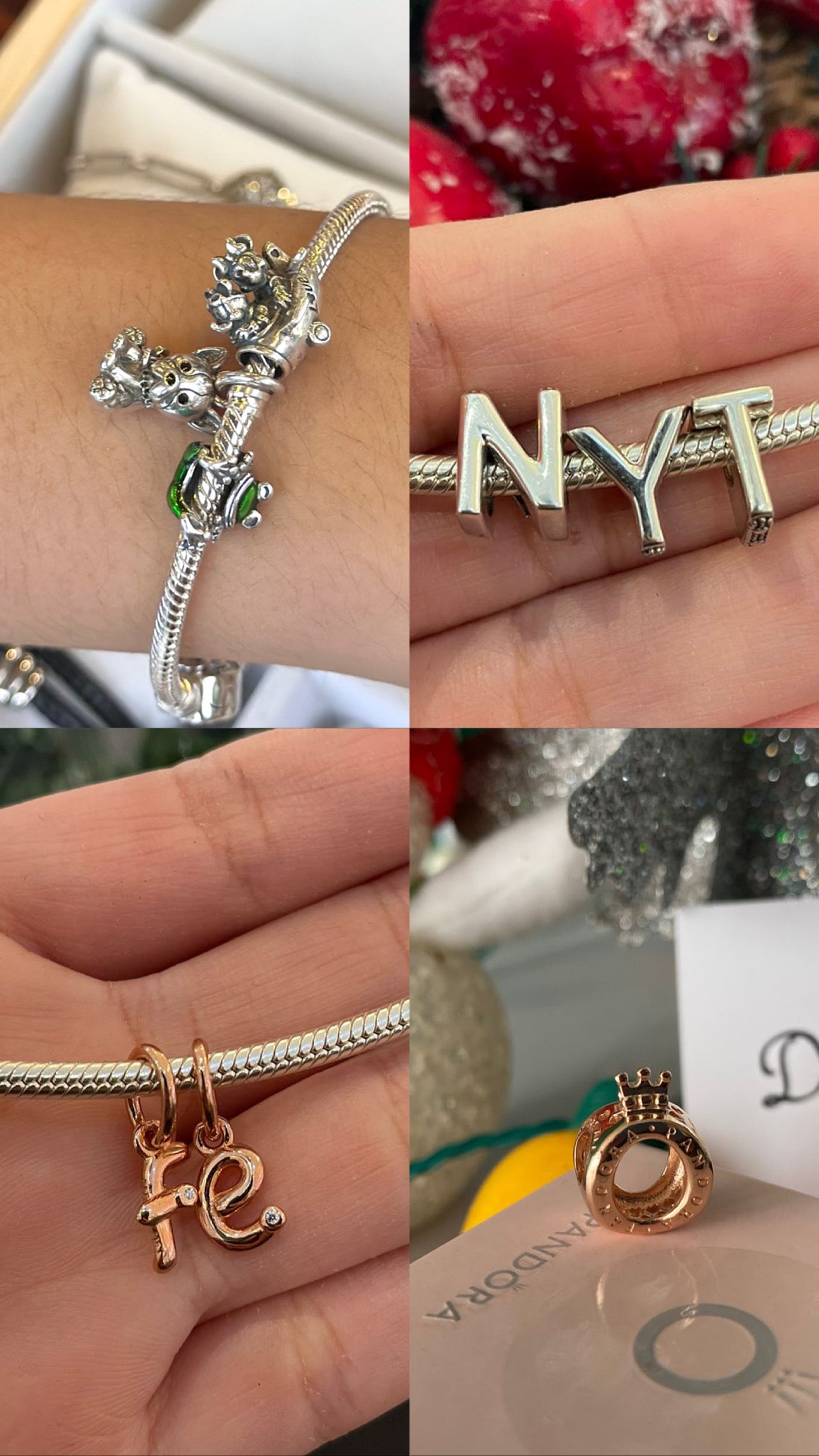 Charms Plata Ale S925