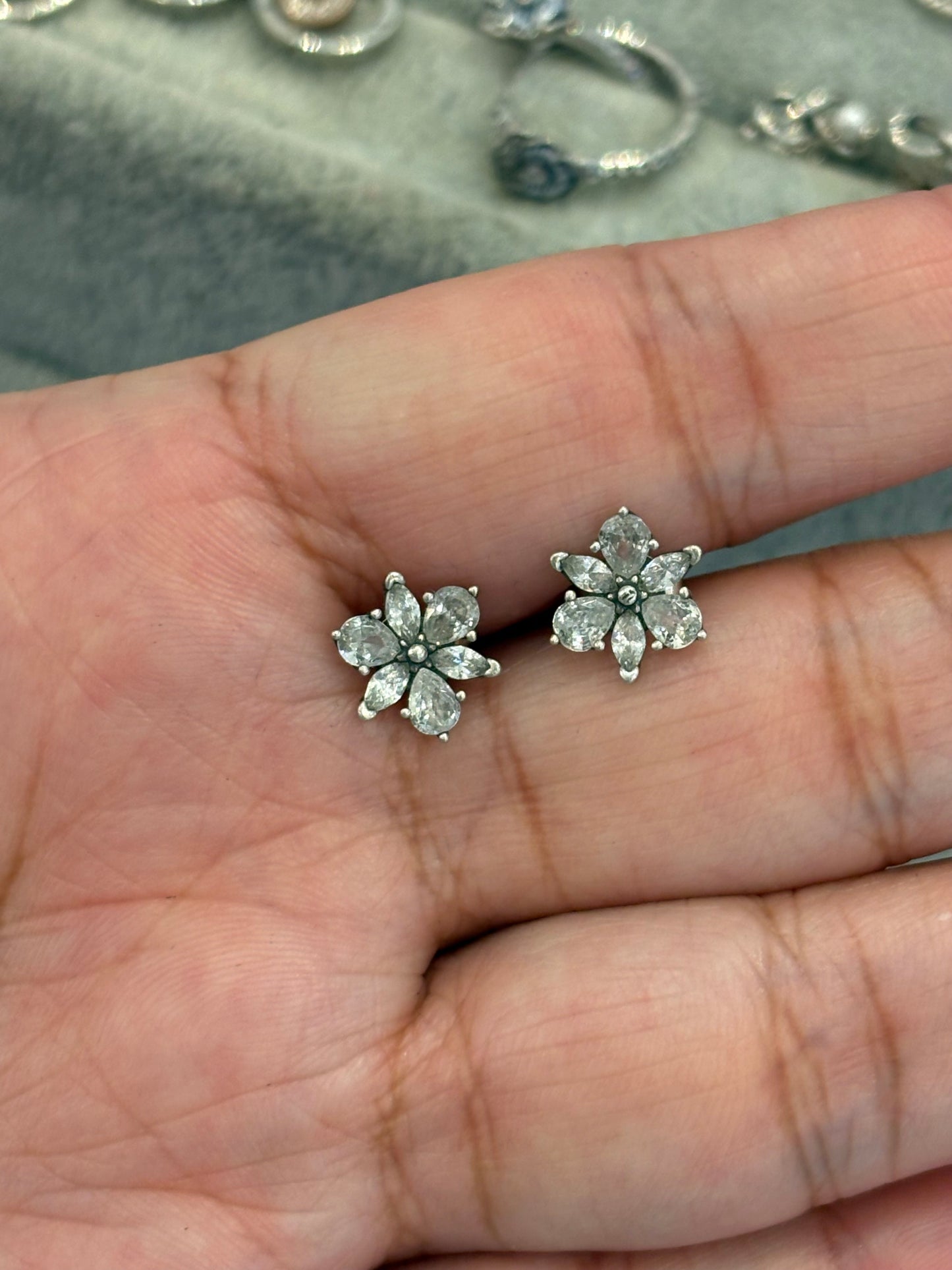 Aretes Herbario Silver