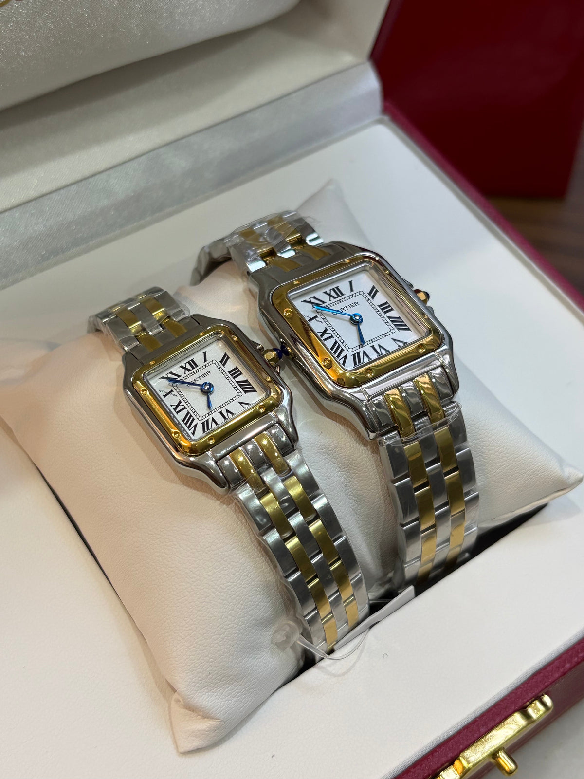 Cartier Panthere - Dos Tonos