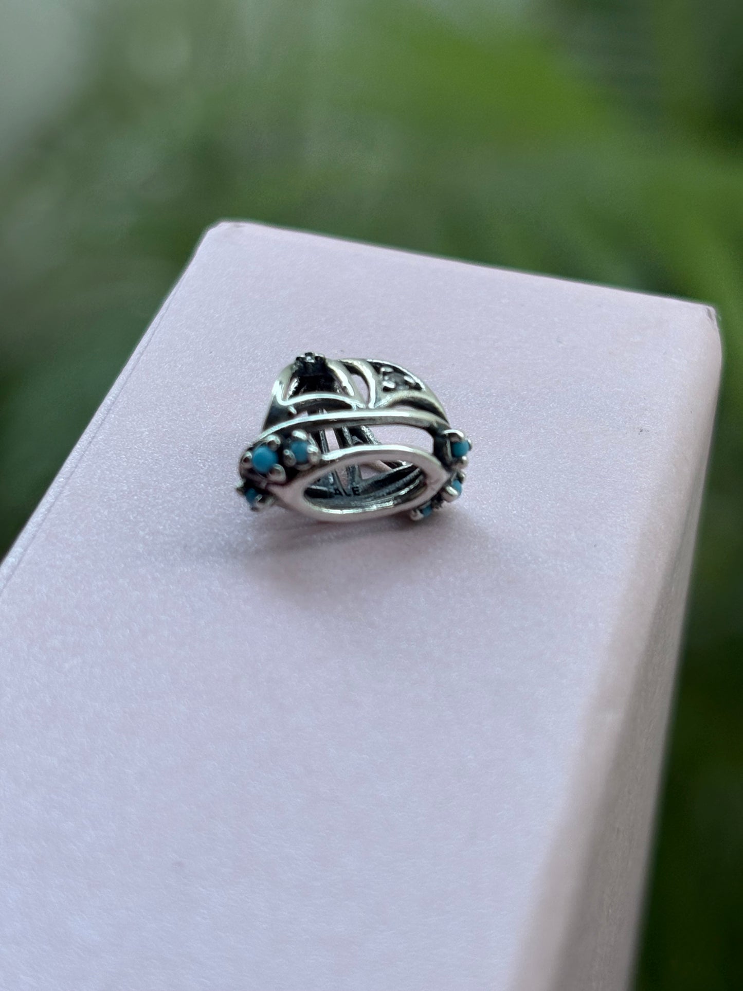 Charm Velero