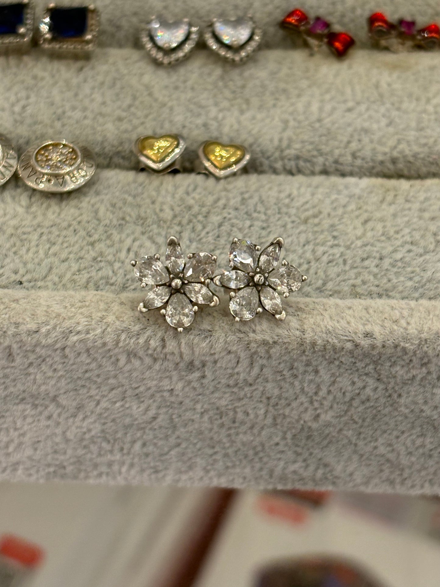 Aretes Herbario Silver