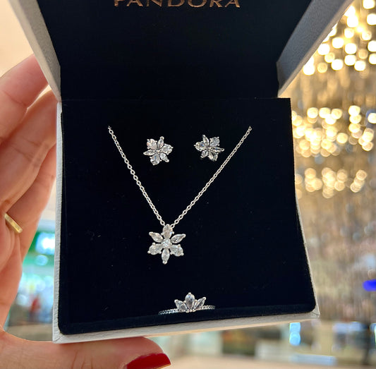 Set Herbario Brillante Silver